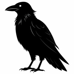 Crow black silhouette
