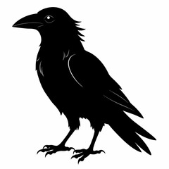 Crow black silhouette