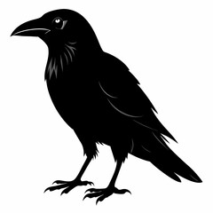 Crow black silhouette