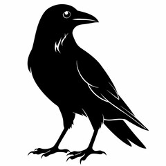 Crow black silhouette