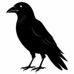 Crow black silhouette