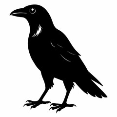 Crow black silhouette