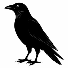 Crow black silhouette