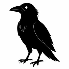 Crow black silhouette