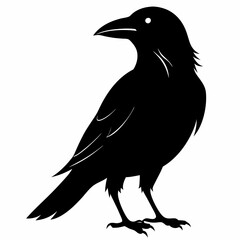 Crow black silhouette