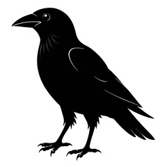 Crow black silhouette