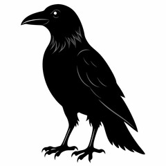 Crow black silhouette