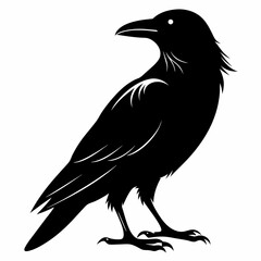 Crow black silhouette
