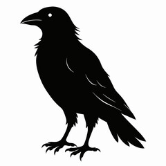 Crow black silhouette