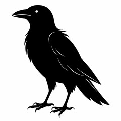 Crow black silhouette