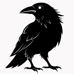 Crow black silhouette
