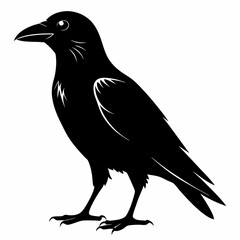 Crow black silhouette