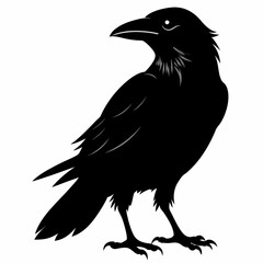 Crow black silhouette