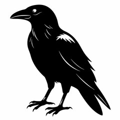 Crow black silhouette