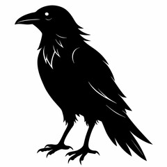 Crow black silhouette
