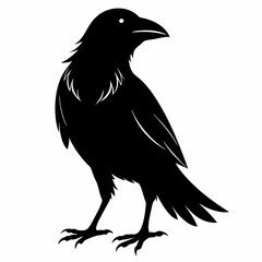 Crow black silhouette