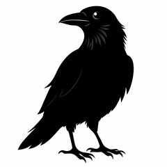 Crow black silhouette