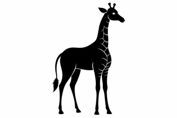 Fototapeta premium giraffe silhouette, giraffe vector silhouettes isolated on a white background, Wild animals silhouette, giraffe 