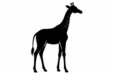 giraffe silhouette, giraffe vector silhouettes isolated on a white background, Wild animals silhouette, giraffe
