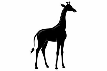 giraffe silhouette, giraffe vector silhouettes isolated on a white background, Wild animals silhouette, giraffe
