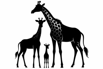 giraffe silhouette, giraffe vector silhouettes isolated on a white background, Wild animals silhouette, giraffe
