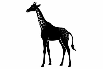 giraffe silhouette, giraffe vector silhouettes isolated on a white background, Wild animals silhouette, giraffe

