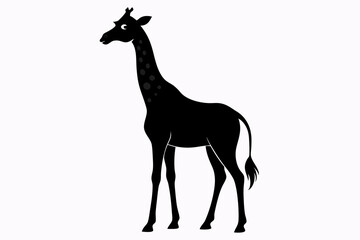 giraffe silhouette, giraffe vector silhouettes isolated on a white background, Wild animals silhouette, giraffe

