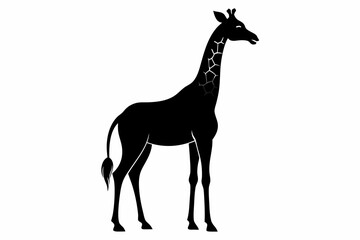 giraffe silhouette, giraffe vector silhouettes isolated on a white background, Wild animals silhouette, giraffe
