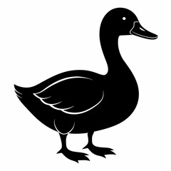 illustration of a duck