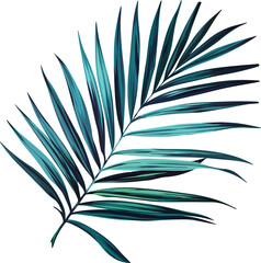 Vector palm leaf. Tropical plant is bright. Paradise, Hawaii, exotic