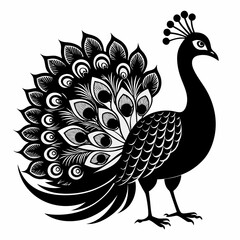 Fototapeta premium Peacock black silhouette