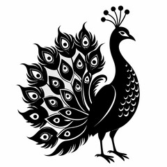 Peacock black silhouette