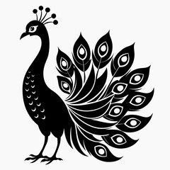 Fototapeta premium Peacock black silhouette