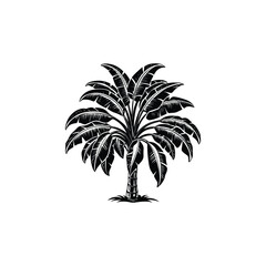 palm tree silhouette