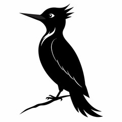 Woodpecker black silhouette