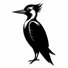 Woodpecker black silhouette