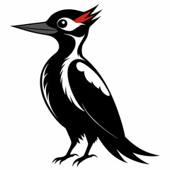 Woodpecker black silhouette