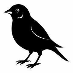 Sparrow black silhouette