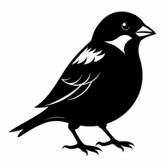 Sparrow black silhouette