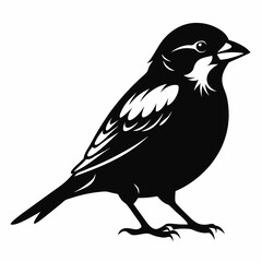 Sparrow black silhouette