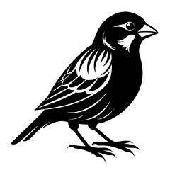 Sparrow black silhouette