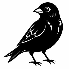 Sparrow black silhouette