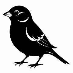 Sparrow black silhouette