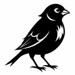 Sparrow black silhouette