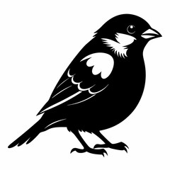 Sparrow black silhouette