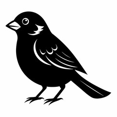 Sparrow black silhouette