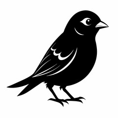 Sparrow black silhouette