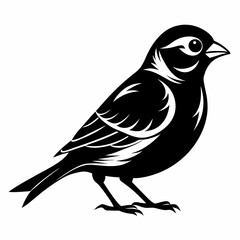 Sparrow black silhouette