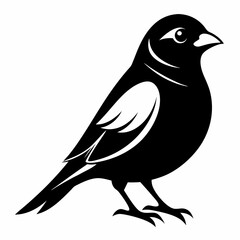 Sparrow black silhouette