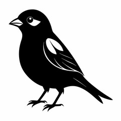 Obraz premium Sparrow black silhouette